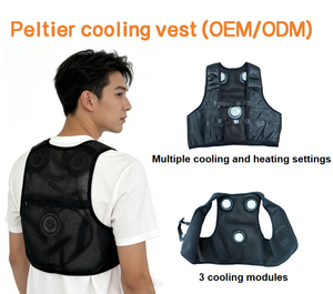Temperature elevate estive tre soluzioni modulo di raffreddamento gilet di raffreddamento Peltier - Product Image 1