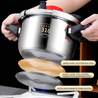 Casserole à pression multifonctionnelle 4/5/6/8 Litrger, cuisinière à gaz allemande, revêtement antiadhésif, acier inoxydable 316, haute pression