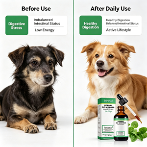 Gouttes liquides vermifuges à base de plantes pour chiens, favorisant le bien-être digestif, probiotique liquide à base de plantes, service OEM de marque privée - Product Image 3