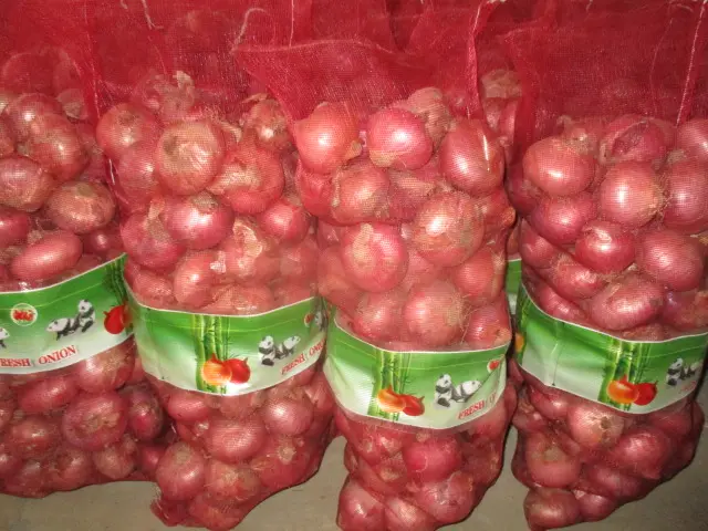 Chinese new fresh yellow red onion with mesh bag purple origin white onion garlic China non peeled organic onion price
