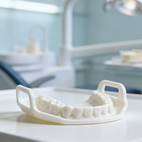 Modelo Dental de Resina Personalizado para Demostración, Estudio y Enseñanza, Modelo de Dientes para Educación y Demostración, Tipodonto