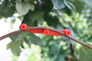 Dobladores de Ramas Ajustables, Separadores de Ramas Reutilizables, Herramientas de Entrenamiento de Ramas de Jardín para el Crecimiento de Árboles Frutales - Product Image 5