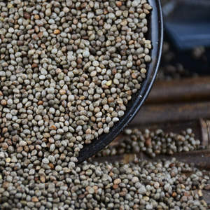 منتقاة حديثًا في محصول سيزون الحالي بذور بريلا عضوية مجففة فاكهة بريلا للبيع - Product Image 5