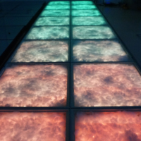 Piste de danse sensible de nuage de tonnerre de 50CM LED pour le plancher interactif de partie avec la voix