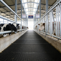 Estructuras de Acero Prefabricadas Modulares Ligeras, Establos Prefabricados para Caballos, Ovejas, Cabras y Vacas, Edificio de Estructura de Acero de Alta Resistencia