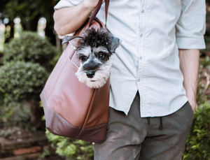 Портативная Сумка-переноска для домашних животных, сумка-тоут из искусственной кожи для маленьких собак - Product Image 4