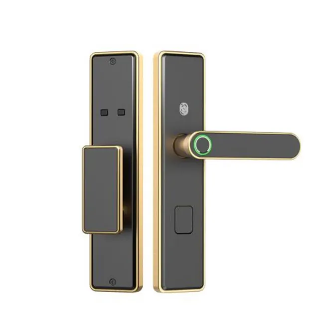 Riconoscimento facciale eleganza Smart serratura porta Memory Card Fingerprint vetro serratura porta in lega di alluminio inglese scatola di colore imballaggio
