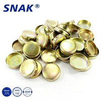 SNAK bouchon d'eau de gel personnalisé moteur eau acier cuivre bouchon moteur bouchons de gel 24MM bouchon de gel de fer en laiton