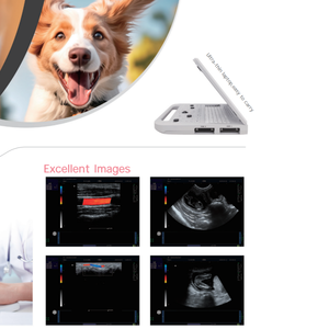 Diergeneeskundige echografiemachine met kleuren-doppler flow imaging voor varkens, koeien, honden en katten - Product Image 3