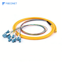 Pigtail Fibre Optique Haute Qualité 12 Cœurs Monomode LC UPC LZH/PVC TDM 900 0.9mm pour FTTH