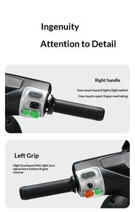 Motocicleta Eléctrica con Batería de 60V, Scooter Eléctrico, Motor de 1500W, Velocidad de 50Km/H, Pantalla LCD, Motor en el Buje Trasero, Motocross Eléctrica - Product Image 3