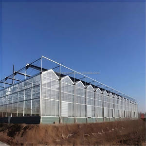 <span class=keywords><strong>Serre</strong></span> <span class=keywords><strong>en</strong></span> <span class=keywords><strong>verre</strong></span> moderne Venlo, prix abordable pour les plantes, tomates, concombres, belle et robuste avec une haute résistance au vent. - Product Image 5