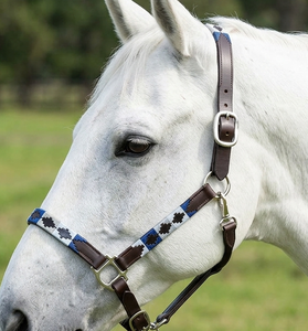 Polo Halter de Cuero DD Premium, Aspecto Elegante, Hecho a Mano con Hilo Encerado Bordado - Product Image 2