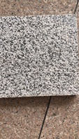 Revêtement paysager Allée Silver Gran Flamed pink Portugal Dalle de granites bruts chinois Carreaux de pavés naturels bon marché