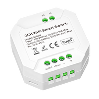 Commutateurs intelligents 16A 2CH Tuya WIFI App Control RoHS CE Smart Home Automation ON/OFF Control