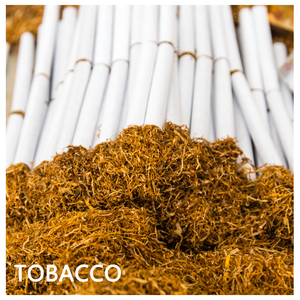 Hiệu quả cao Tự động <span class=keywords><strong>Protein</strong></span> phân tích máy kjeldahl Nitơ xác định Bộ máy tùy chỉnh OEM hỗ trợ-nhanh - Product Image 4