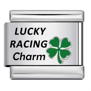 Eagle Workshop Lucky Four Leaf Clover Charm Stainless Steel DIY Jewelry Fashion Pendant For Bracelet Watch Strap Chain - Product Image 3