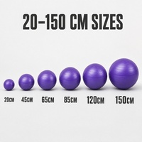 Vente Flash : Ballon de Yoga en PVC Personnalisé (OEM/ODM) avec Logo, Direct Usine, Anti-éclatement, Épais et Sablé, Tailles 20cm-150cm, Idéal pour la Salle de Sport et le Studio de Yoga