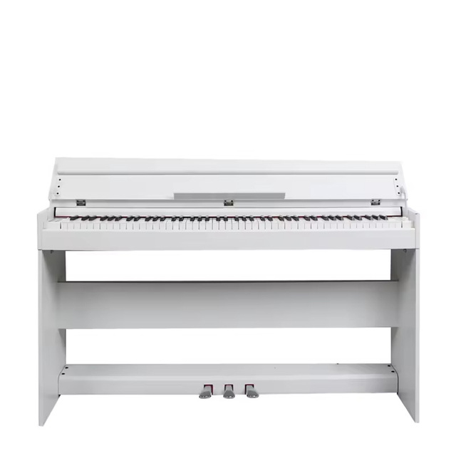 Professional Midi Piano Keyboard 88 Keys Digital Upright Piano White 3 Pedals Hammer Action with Case
