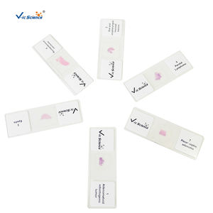 Ressources pédagogiques pour la formation médicale : Lames de prélèvement sanguin pour la pathologie, lames de préparation de smears en hématologie et pathologie - Product Image 4