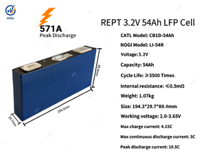 Cellule de batterie LiFePO4 haute décharge REPT 3.2V 54Ah LI-54R 10.5C Peak EV, cellule lithium prismatique, 3500 cycles, -30~60°C - Product Image 2