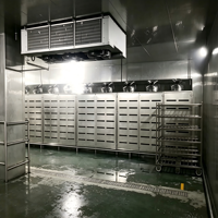 Machine de décongélation à basse température et haute humidité pour poulet, canard et volailles congelés.