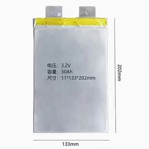 New 3.2V30ah Lithium Iron Phosphate Soft Pack Lithium <strong>Battery</strong> 16ah 20ah <strong>25ah</strong> 30ah 45ah 50AH 60Ah - Product Image 2