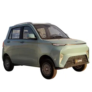 YANUO New Energy Mini Electric Vehicle 4-Wheeled Low-Speed with Energy-Saving and Environmental Protection Features