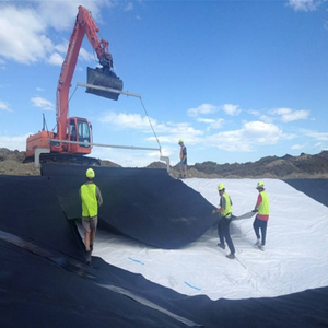 Geomembrana de HDPE Glory Bridge - Antipenetración, Antidesgarro, Duradera e Impermeable para Piscifactorías y Fundaciones de Presas con Garantía de Más de <span class=keywords><strong>5</strong></span> Años - Product Image 6