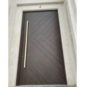 Seeyesdoor前门现代钢安全高品质住宅安全门