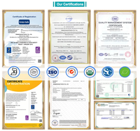 Service OEM Bactéries antioxydantes Bacillus Bactéries de qualité alimentaire Bacillus Coagulans