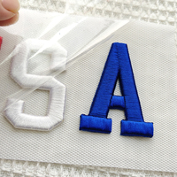 Patchs thermocollants brodés 3D personnalisés avec drapeau américain et lettres, pour vêtements et casquettes de camionneur
