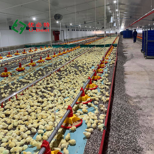 Nouveau système d'alimentation et d'abreuvement automatique U-BEST pour poulets en cage en plastique, équipement d'élevage avicole - Product Image 6