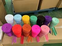 Gobelets en plastique colorés sans BPA de 16 oz/24 oz, gobelets froids, bouteille d'eau Macaroon, bouteille réutilisable avec enveloppes UV DTF