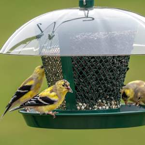 Prix usine étanche extérieur en métal suspendu mangeoire à oiseaux à l'épreuve des écureuils - Product Image 3