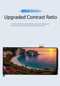 Módulo de Pantalla AMOLED de 6.01 Pulgadas, Brillo de 500nit, Resolución de 1080 x 2160 e Interfaz MIPI, Circuito Integrado de Control CH13721C, 16.7 Millones de Colores - Product Image 3