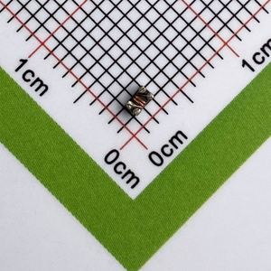 Manufacturer Direct WCM2012F2SF-670T04 0805 2012 Inductors Common Mode Chokes 25% 400mA 0.25ohm 67ohm - Product Image 1