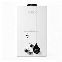 Nouveau design, chauffe-eau instantané mural de type cheminée 10L 20kW, protection de sécurité, acier inoxydable, cuivre, gaz, utilisation extérieure, classe B