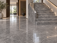 Dalles de marbre gris étoilé pour comptoirs de salle de bain, îlots de cuisine, panneaux muraux, carreaux de sol, vasques en pierre et dessus de table à manger
