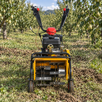Machine de désherbage agricole autotractée, moteur diesel/essence, pour l'élimination des racines d'herbe et des mauvaises herbes, cultivateur pour fermes