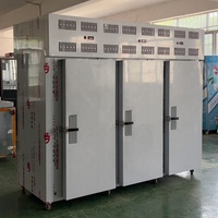 Congélateur-chiller industriel commercial Mr. Frio -45°C en acier inoxydable AISI 304, à deux portes, refroidissement par air, 8250W Tecumseh