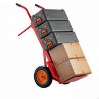 Carretilla de Plataforma Industrial Plegable Roja Personalizada de Acero Inoxidable con 2 Ruedas