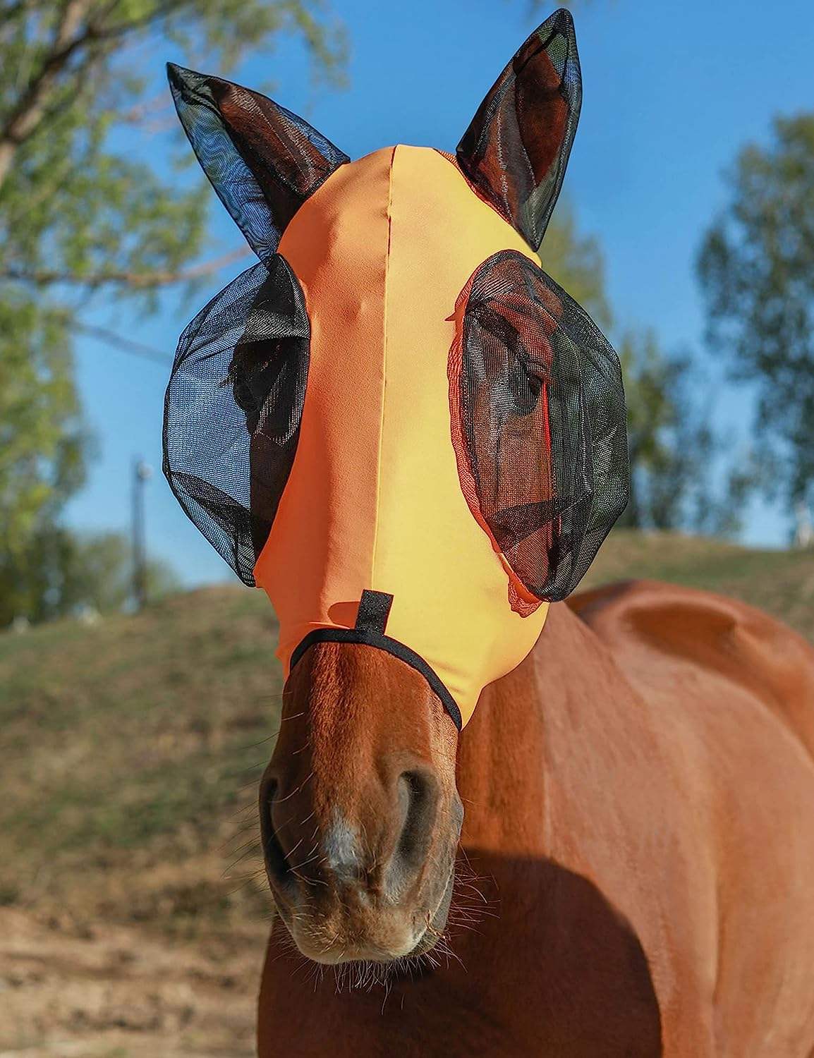 สีเหลือง