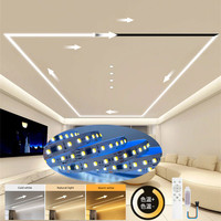 Télécommande double couleur à effet d'eau courante SMD 24V SPI Controller WS2811 24V Smart Flowing CCT LED Strip Light 120LED