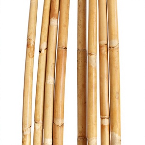 Rotin brut de qualité meublier, canne nettoyée, rotin entier, tige droite, sans fissures, écologique, pour cadres de chaises et tissages - Product Image 1