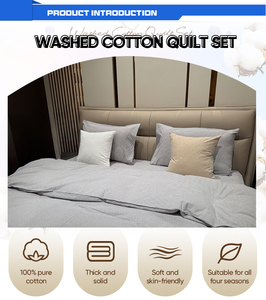 Nhà dệt rửa bông hiện đại in thân thiện với môi 4-Piece bedding Set - Product Image 4