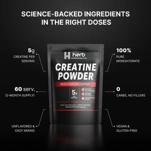 OEM/ODM Private Label <b>Creatine</b> Monohydrate Supplement Creatina Powder for Energy Support for Adult - Product Image 4