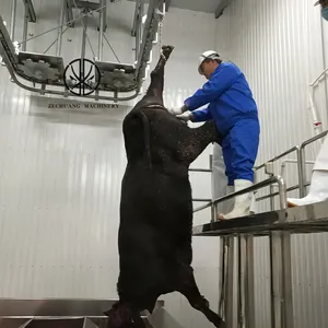공장 가격 무슬림 할랄 100 - 200 소 도살장 장비 쇠고기 도살 기계에 대한 암소 출혈 족쇄