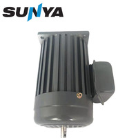 Pompe à huile pour engrenages avec moteur à induction monophasé 250W, efficacité IE2, cadre de 32 mm pour usage industriel