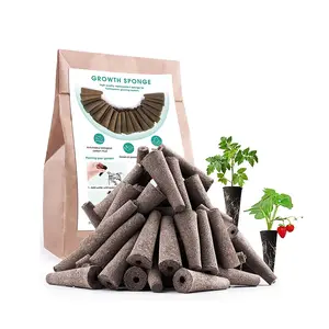 Indoor Garden Hydroponics Planter Soil Blocker Grow Sponge Seed Starter Pods per la germinazione dei semi di ortaggi in foglia